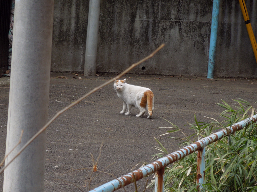 f:id:com:20120202125616j:image