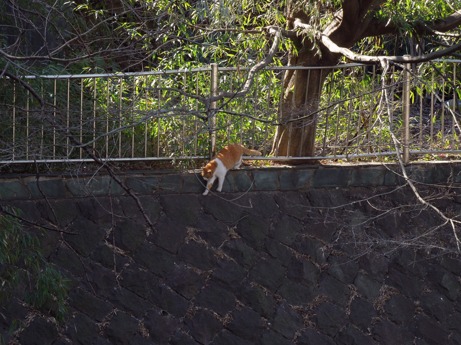 f:id:com:20120203123357j:image
