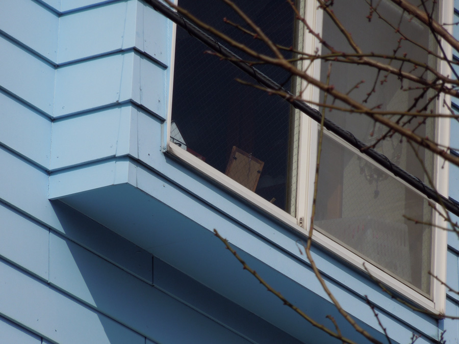 f:id:com:20120205111123j:image