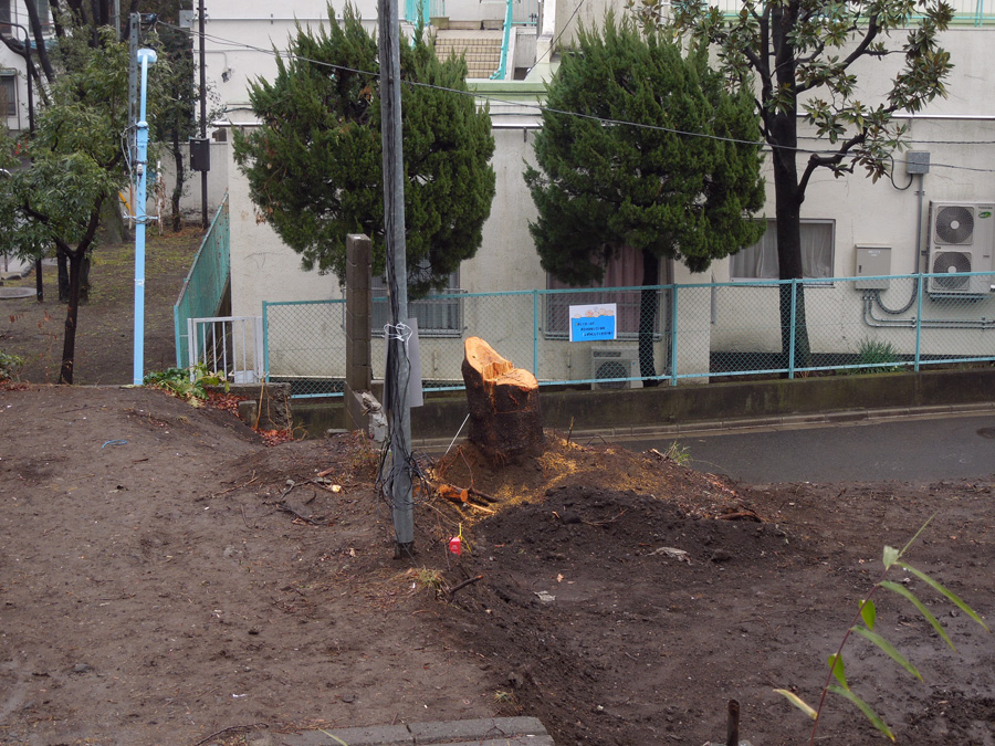 f:id:com:20120207121434j:image