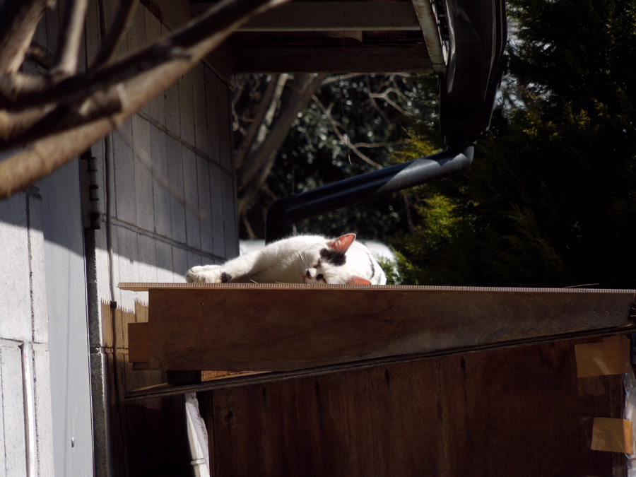 f:id:com:20120209124313j:image