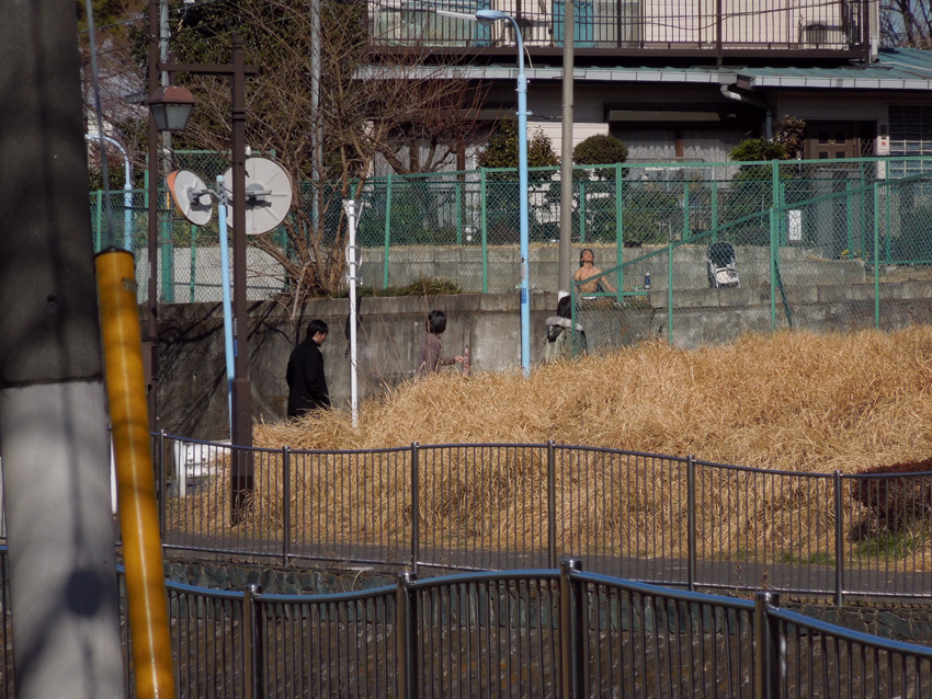 f:id:com:20120209125253j:image