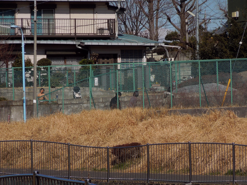 f:id:com:20120209125257j:image