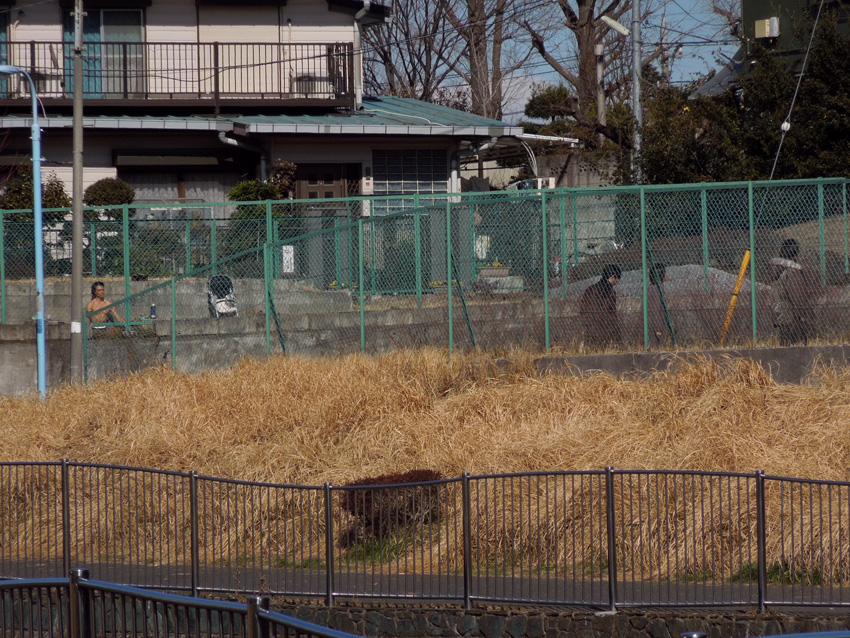 f:id:com:20120209125300j:image