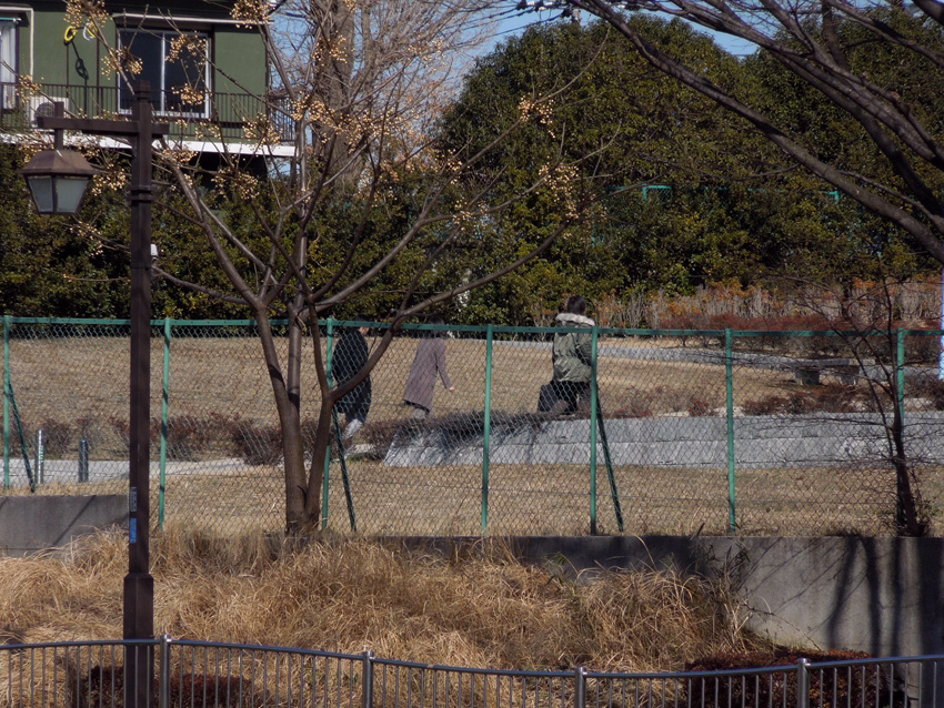 f:id:com:20120209125309j:image