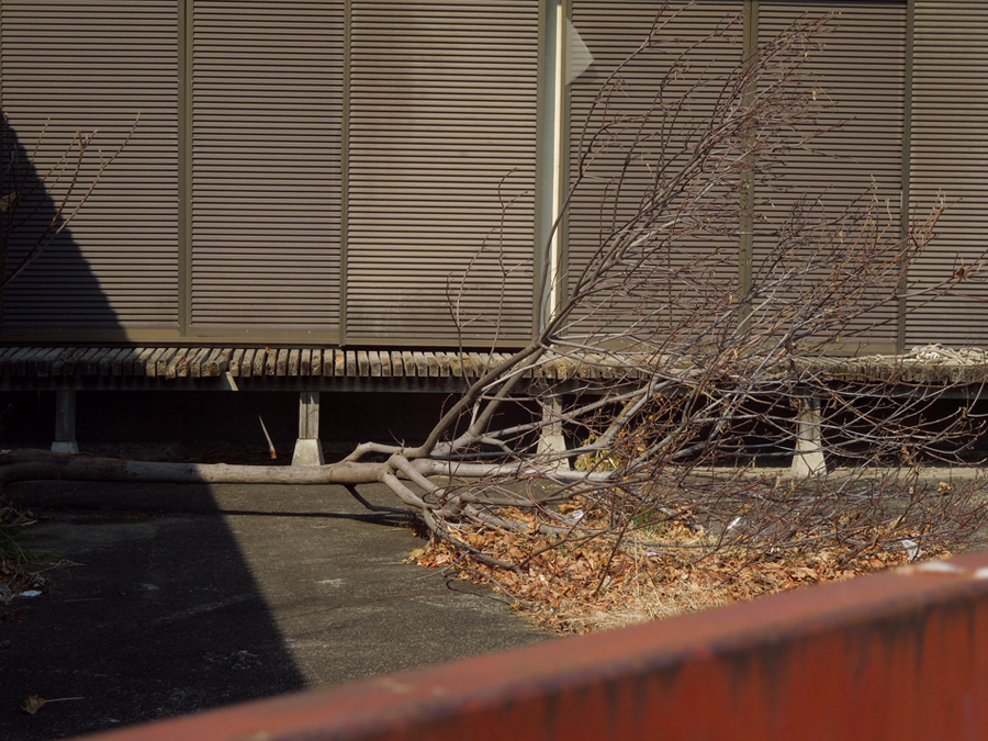 f:id:com:20120210123542j:image