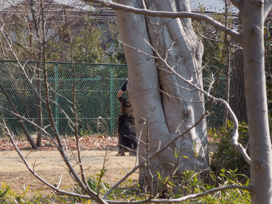 f:id:com:20120210124403j:image