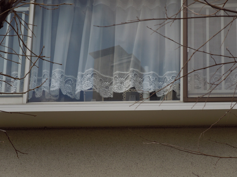 f:id:com:20120211144052j:image