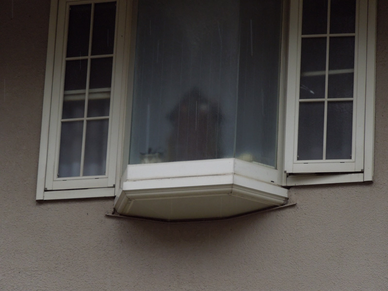 f:id:com:20120214125303j:image