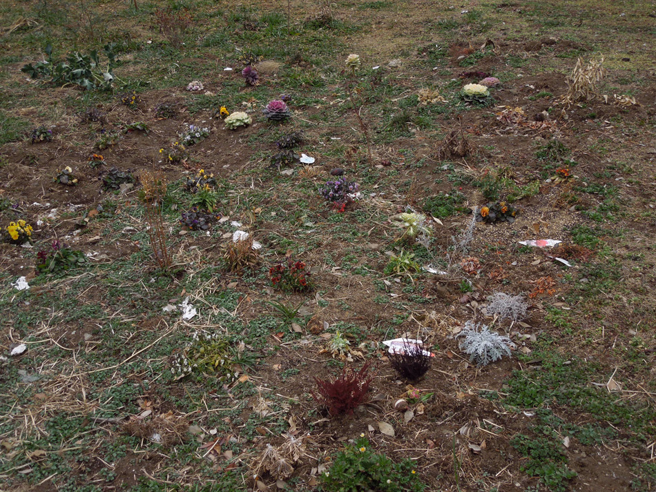 f:id:com:20120216124255j:image