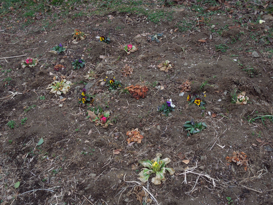 f:id:com:20120216124330j:image