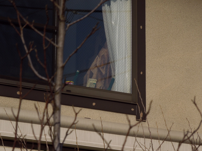 f:id:com:20120219151230j:image