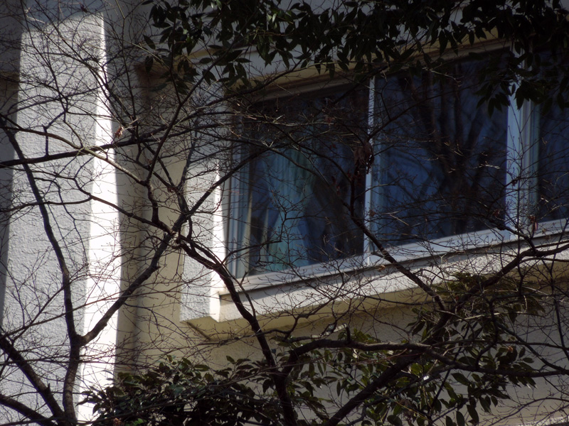 f:id:com:20120221123631j:image