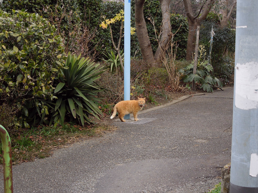f:id:com:20120222124826j:image