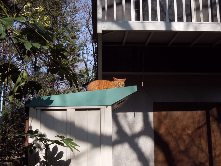 f:id:com:20120224124224j:image