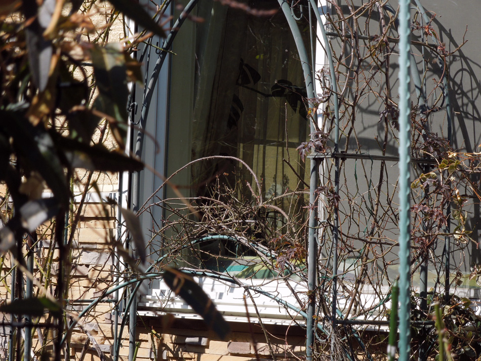 f:id:com:20120227125201j:image