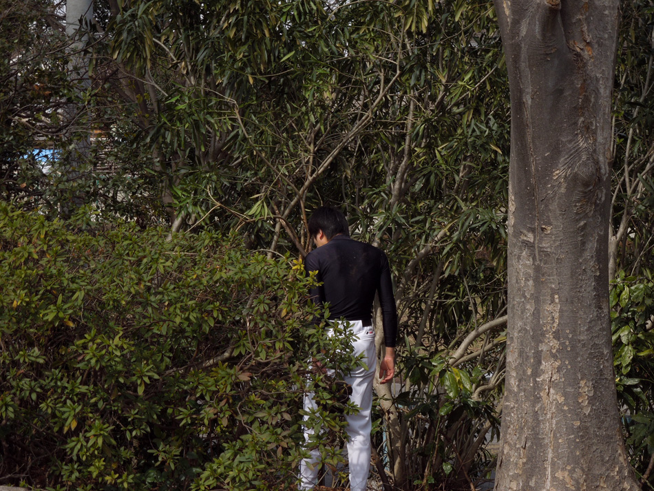f:id:com:20120228123407j:image