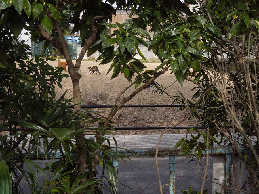 f:id:com:20120228123457j:image