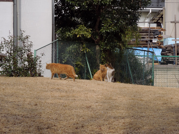 f:id:com:20120228123633j:image