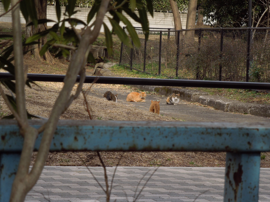 f:id:com:20120228123858j:image
