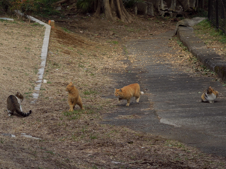 f:id:com:20120228124142j:image