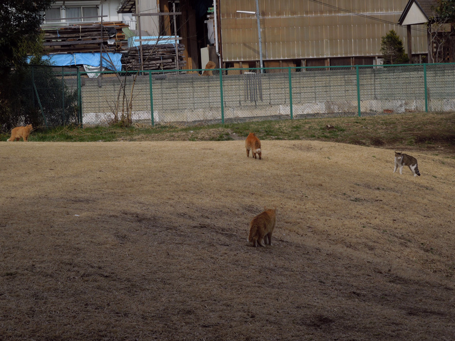 f:id:com:20120228124152j:image
