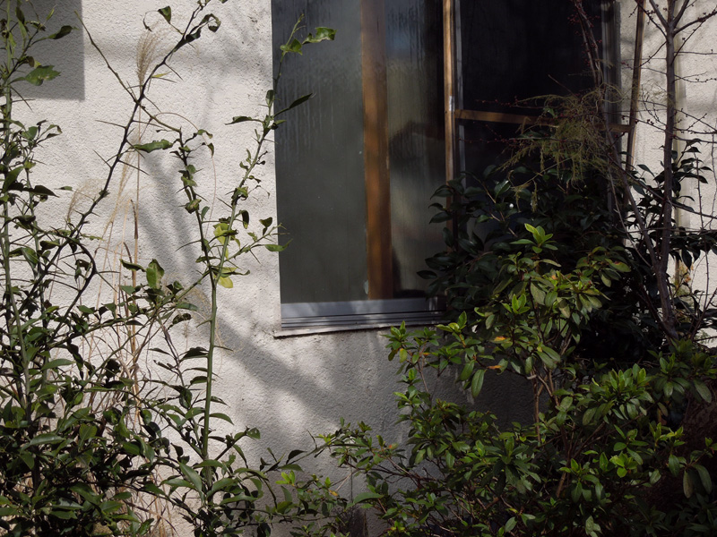 f:id:com:20120228130759j:image