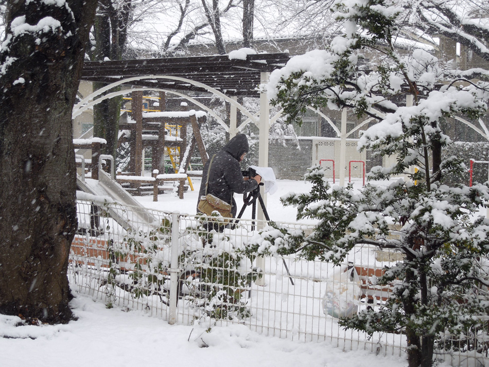 f:id:com:20120229113654j:image