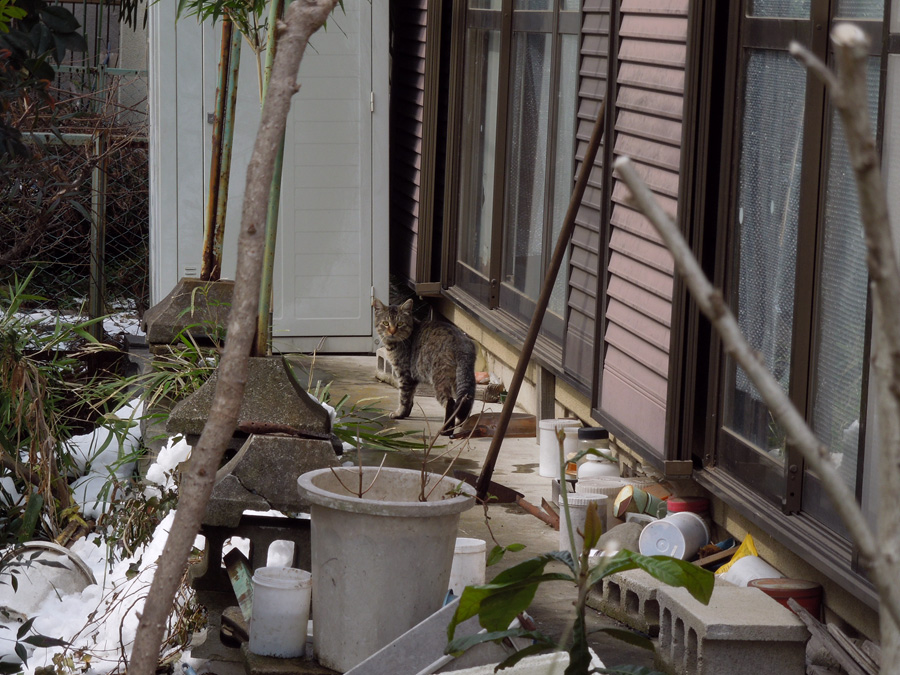 f:id:com:20120301123818j:image