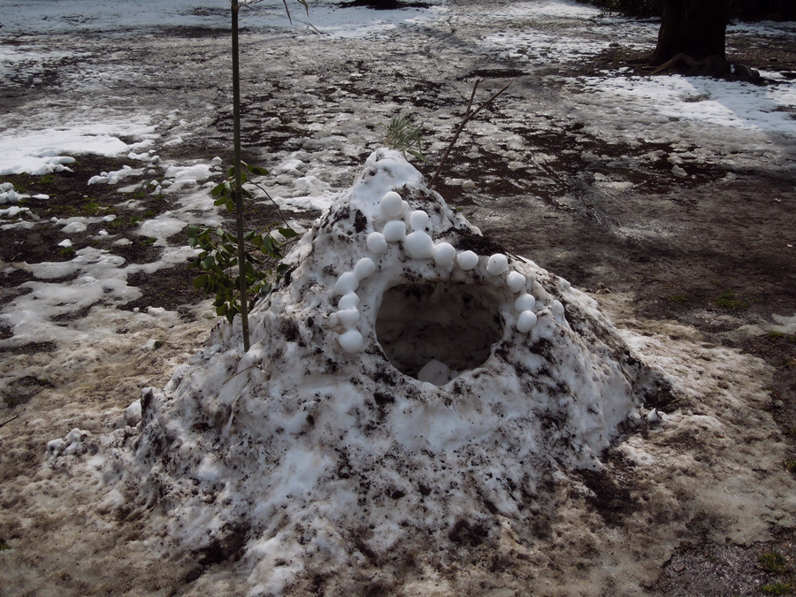 f:id:com:20120301125045j:image