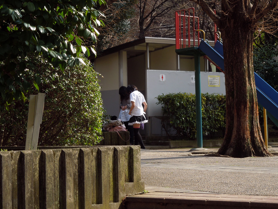 f:id:com:20120303133509j:image
