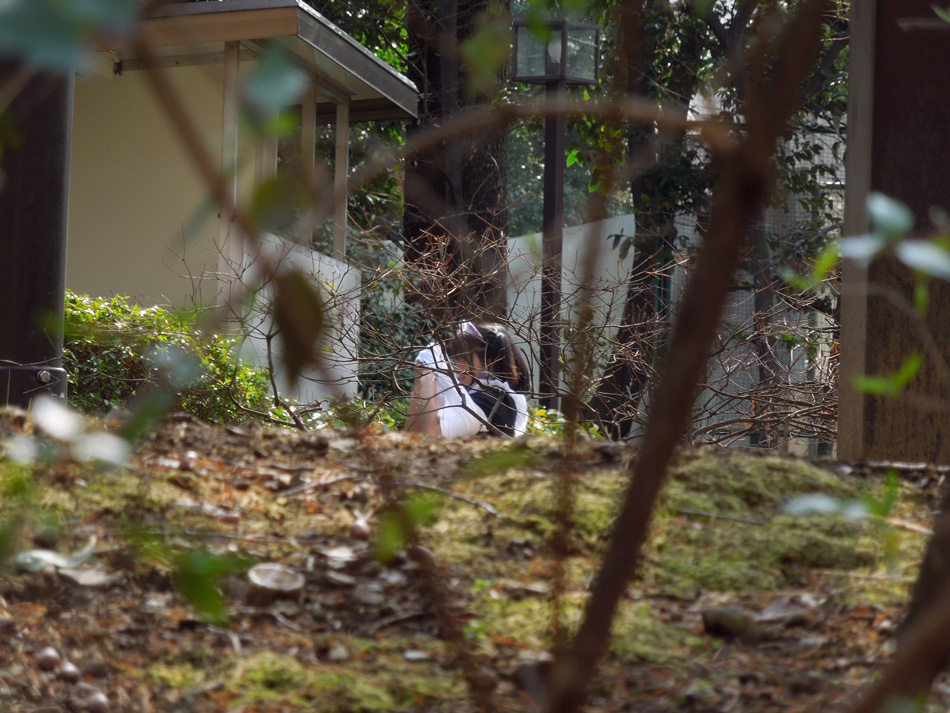 f:id:com:20120303133612j:image