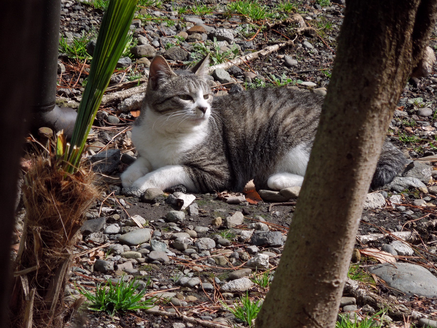 f:id:com:20120306122804j:image