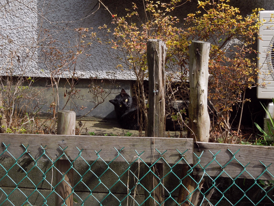 f:id:com:20120306124318j:image