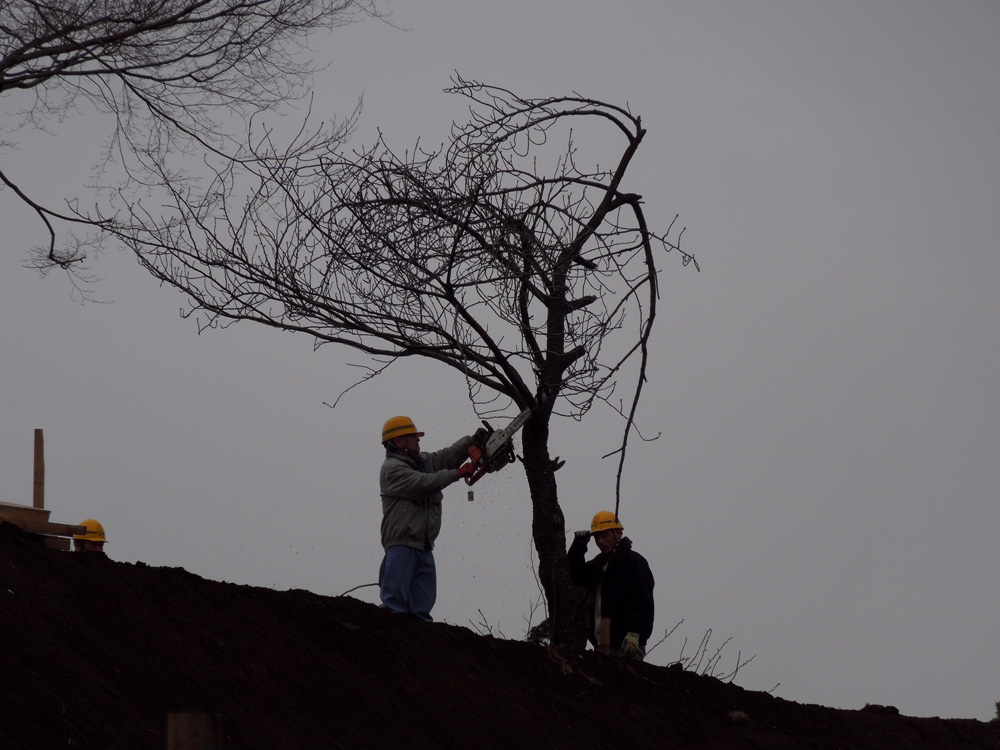 f:id:com:20120308130713j:image