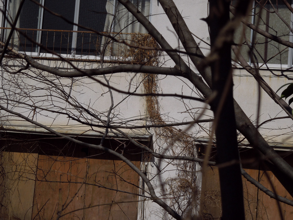 f:id:com:20120312124455j:image