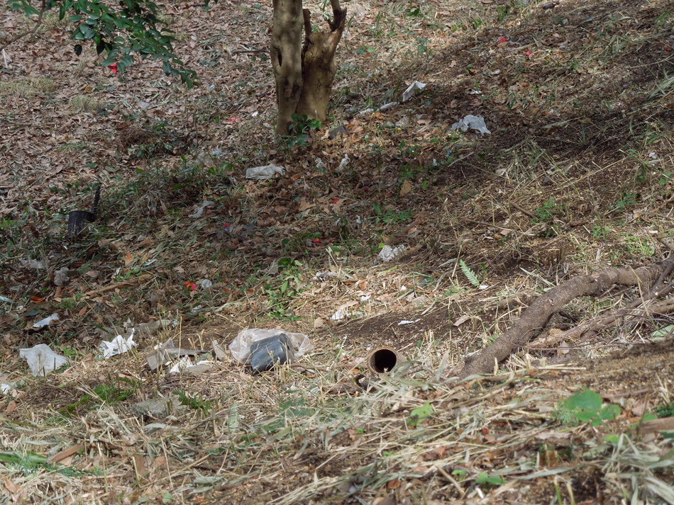 f:id:com:20120312125717j:image