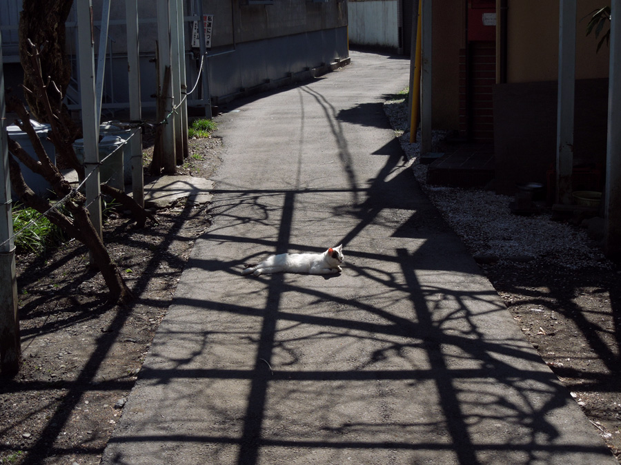 f:id:com:20120313125539j:image
