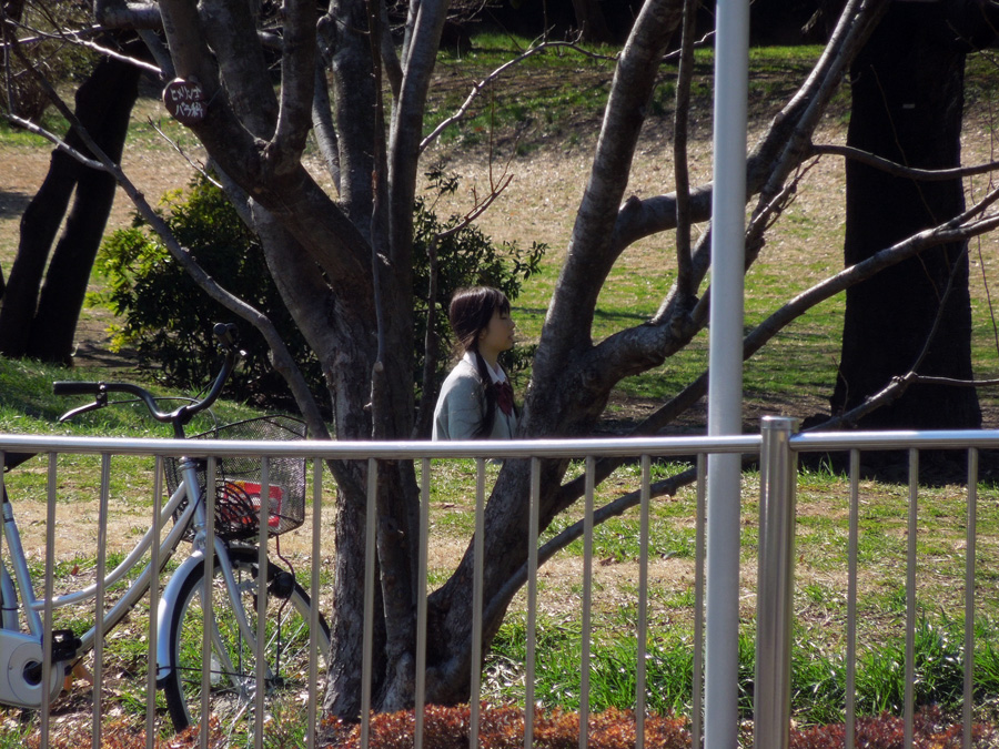 f:id:com:20120313131813j:image