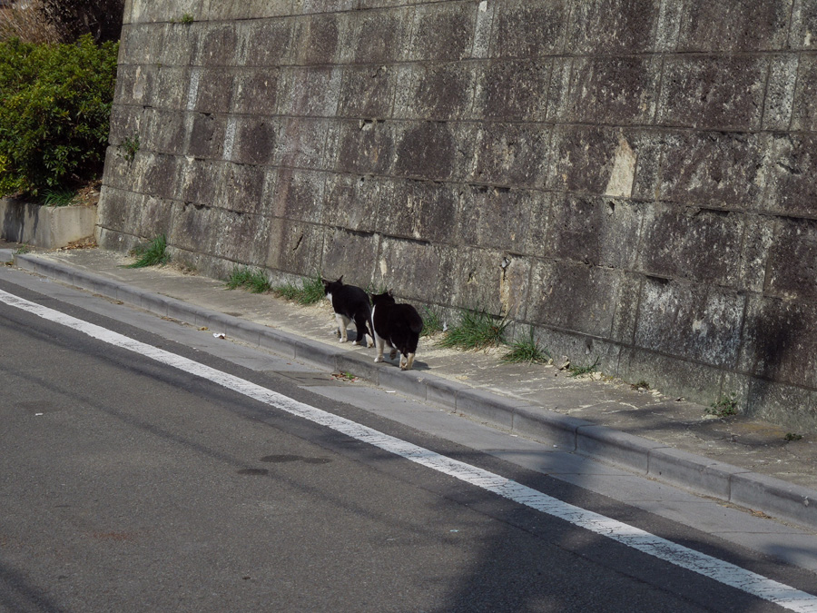 f:id:com:20120314123908j:image