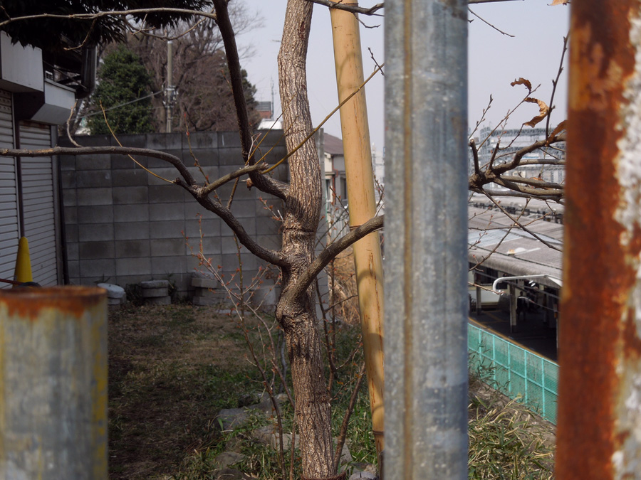 f:id:com:20120316115130j:image