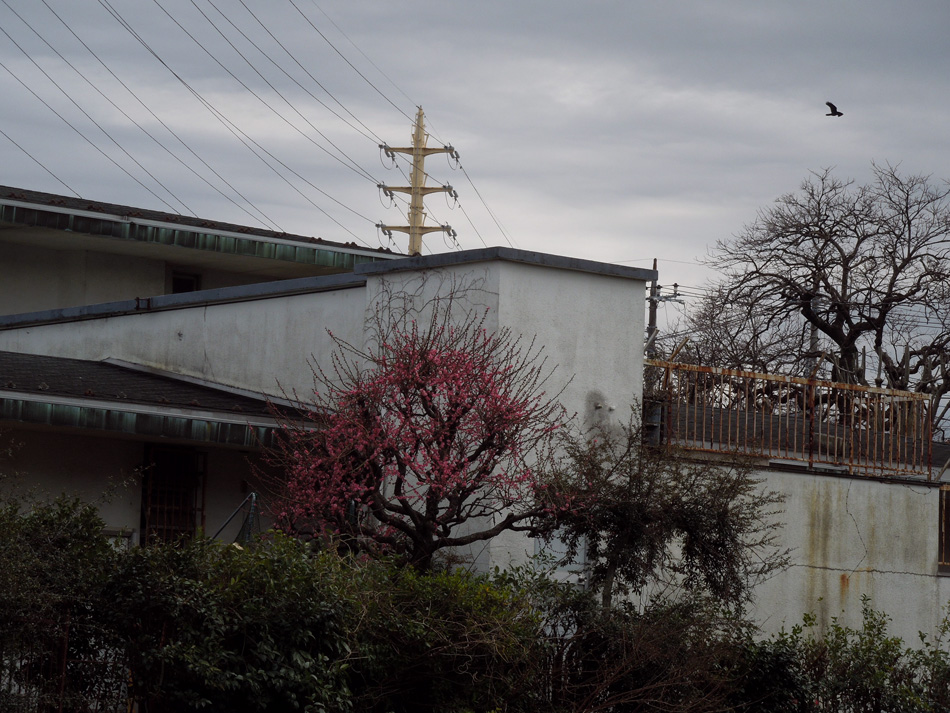 f:id:com:20120319130937j:image