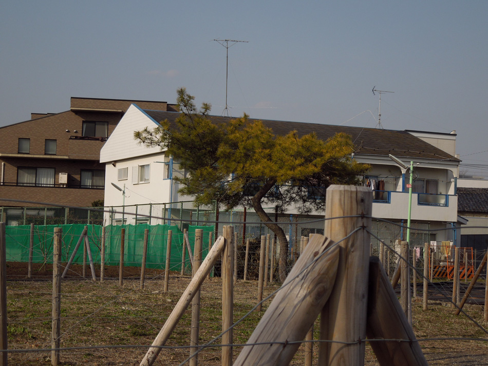 f:id:com:20120320153819j:image
