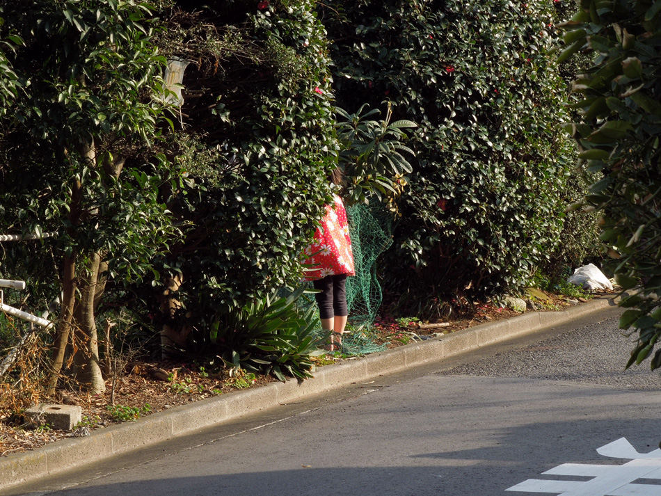 f:id:com:20120320154133j:image