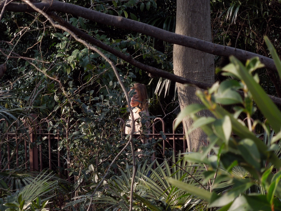 f:id:com:20120320155543j:image