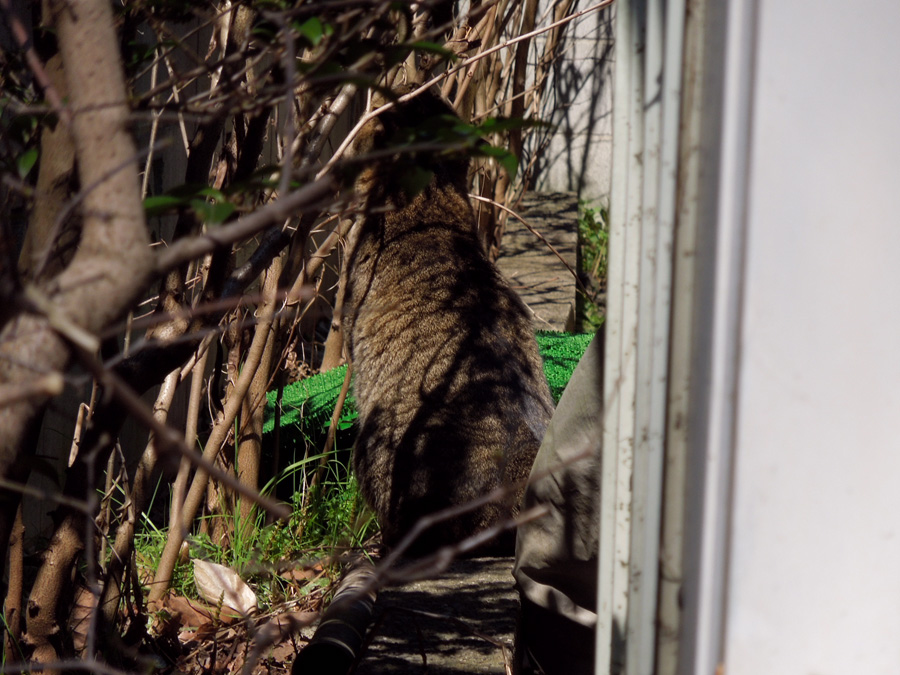 f:id:com:20120321123641j:image