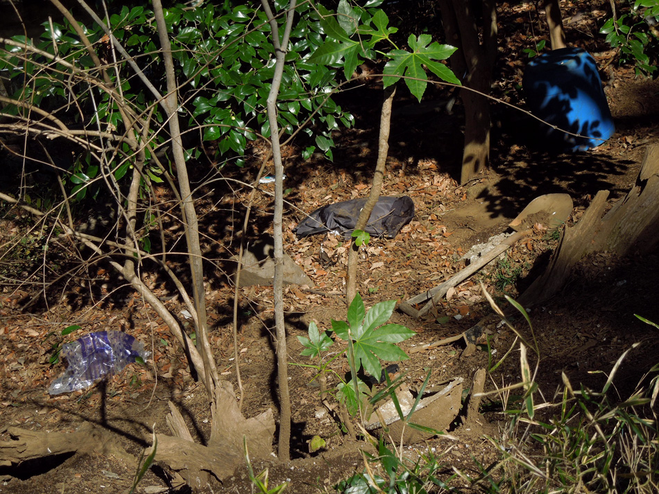f:id:com:20120321124757j:image