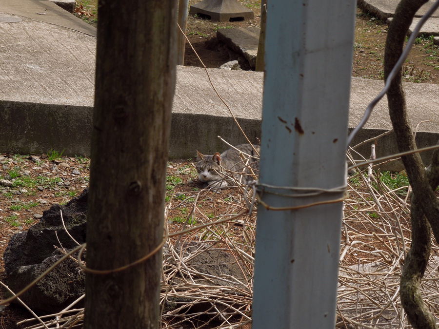 f:id:com:20120322122707j:image