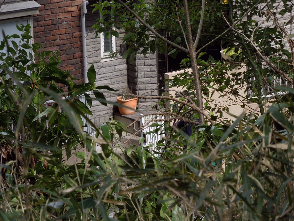 f:id:com:20120326130223j:image