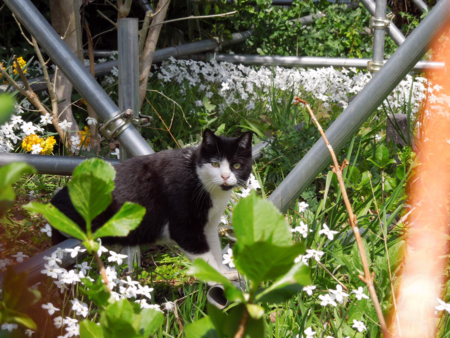 f:id:com:20120410125030j:image